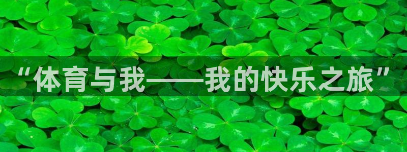 球派体育app旧版本
