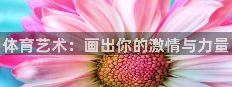 球派体育app改名叫什么了：体育艺术：画出你的激情与力量