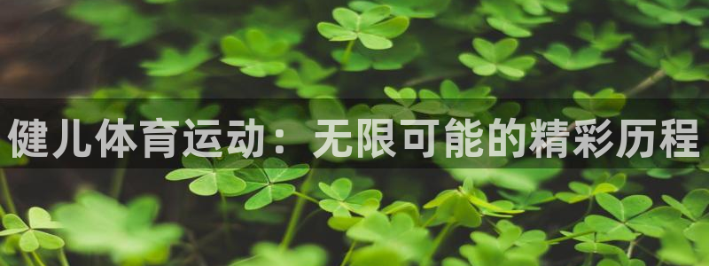 球派体育老版本