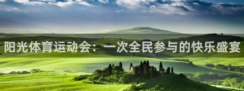 球派体育公司