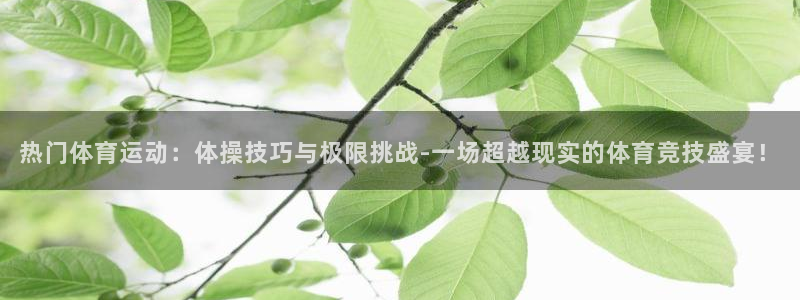 球派体育苹果下载：热门体育运动：体操技巧与极限挑战-一场超越现实的体育竞技盛宴！