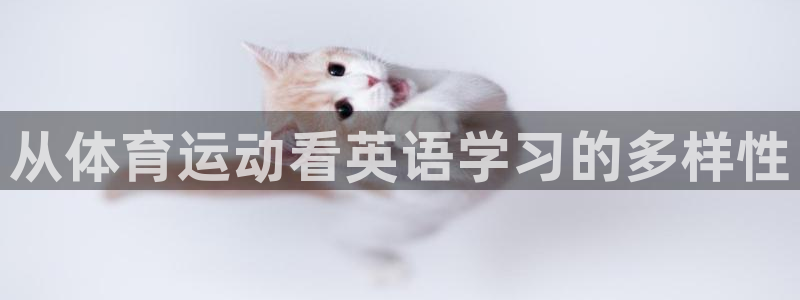 球派体育看球免费吗
