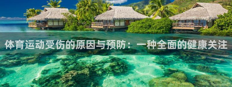 球派体育app下载安装