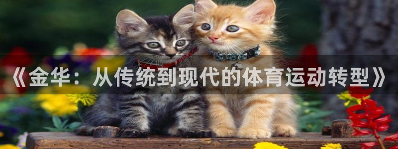 球派体育老版本下载