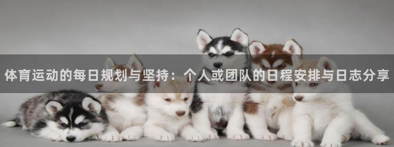球派体育老版本
