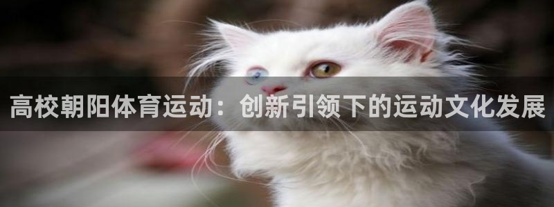 球派体育看球免费吗：高校朝阳体育运动：创新引领下的运动文化发展