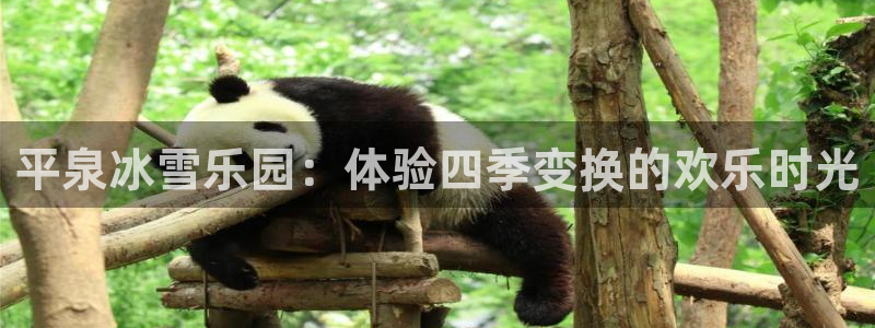 球派体育苹果下载：平泉冰雪乐园：体验四季变换的欢乐时光